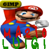 Mario_Luigi
